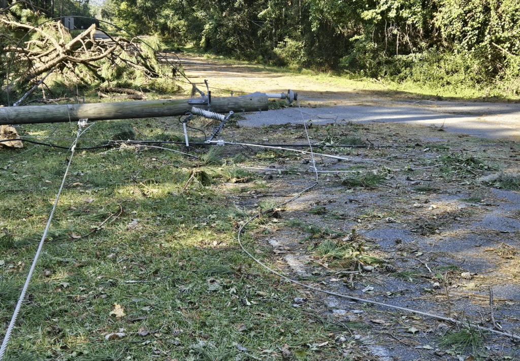 Storm aftermath Landscape in Georgia